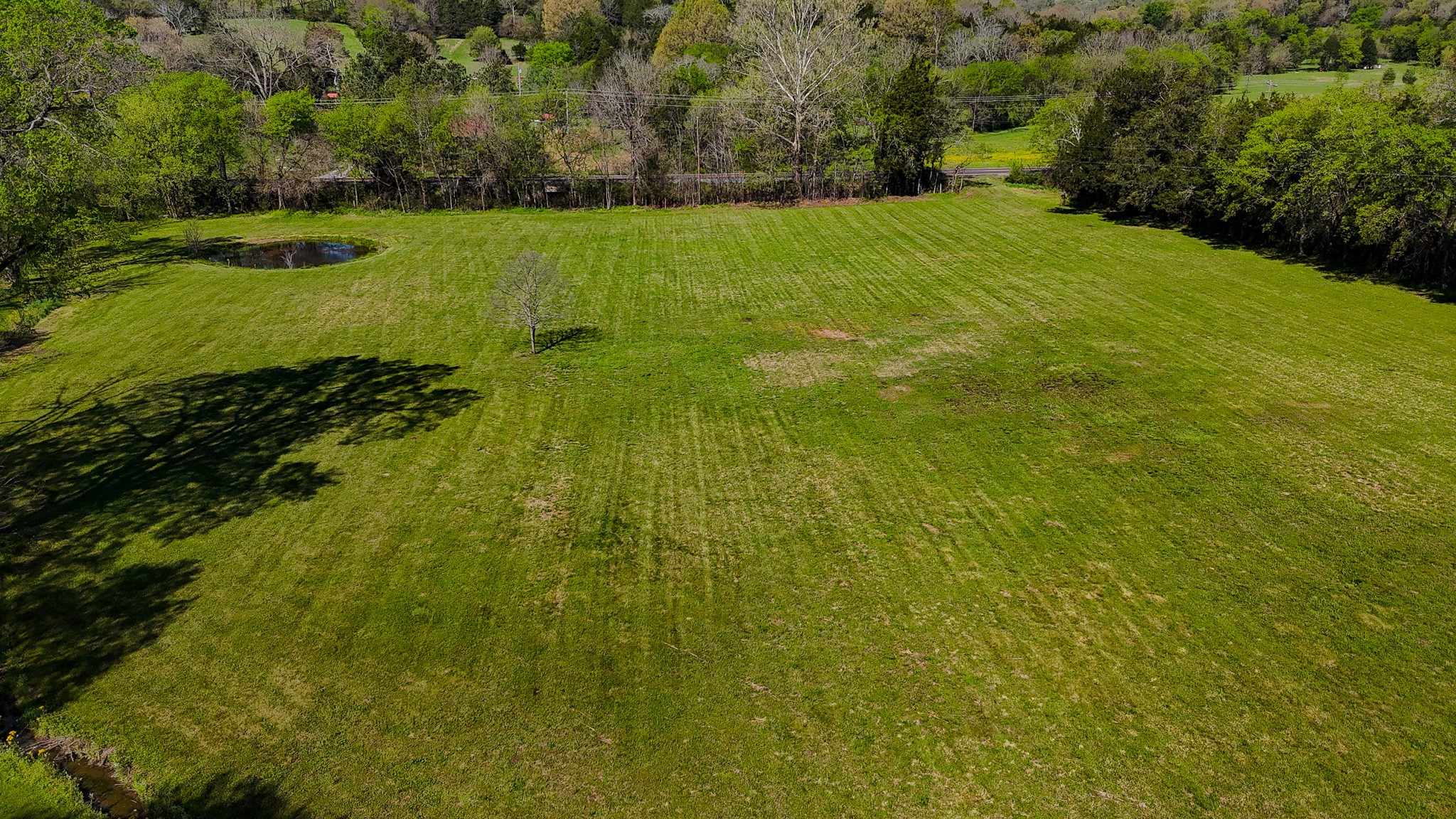 16 Volunteer Road Petersburg, TN 37144 - Photo 36 of 41 a view of yard with green space