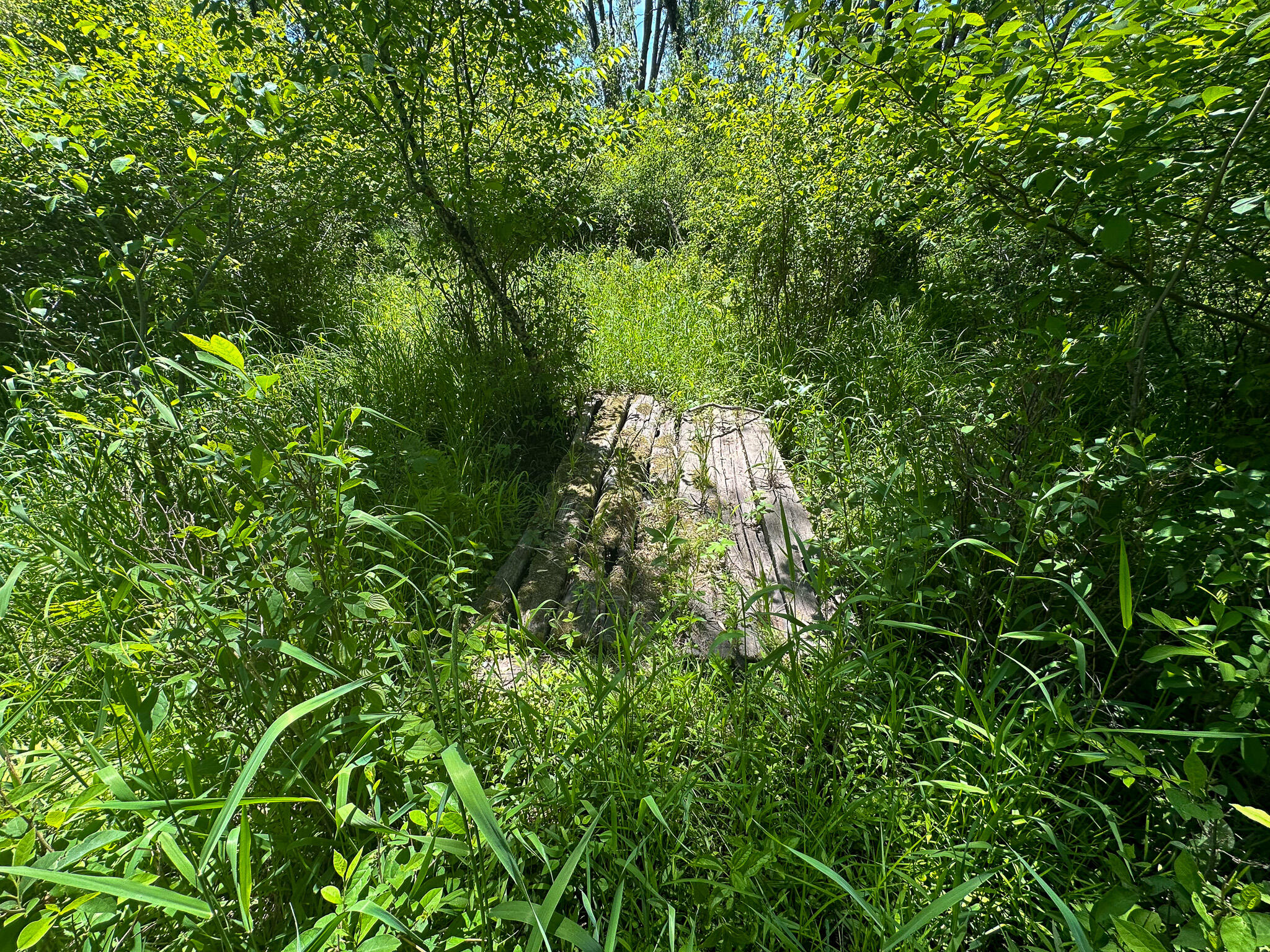 3804 East Wilson Road Custer, MI 49405 - Photo 19 of 39 Trail Bridge