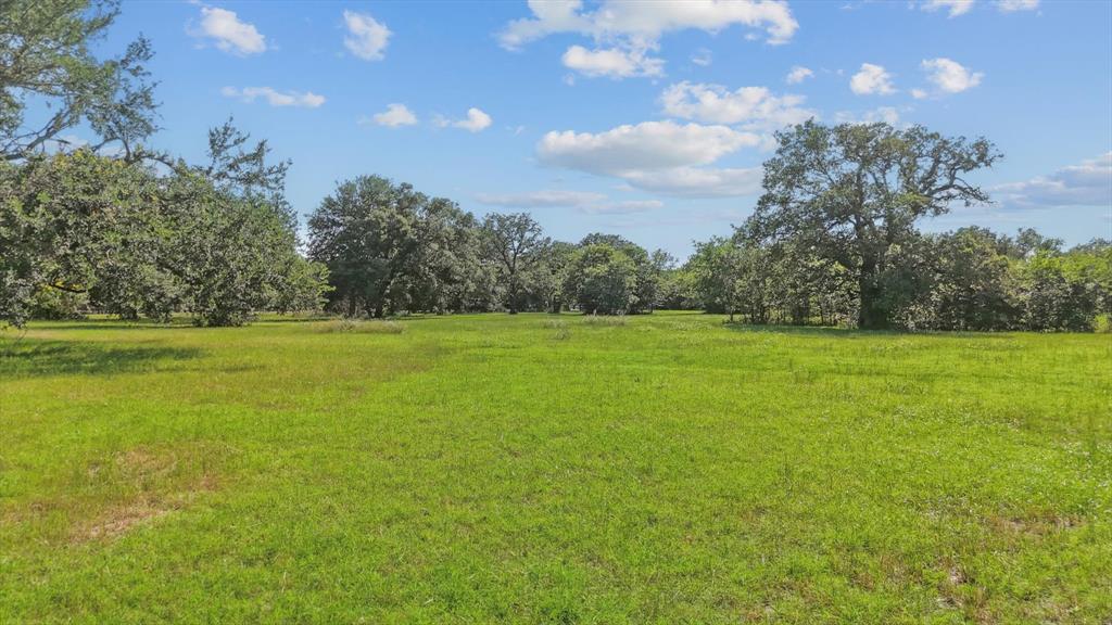 a view of a green field with trees in the background