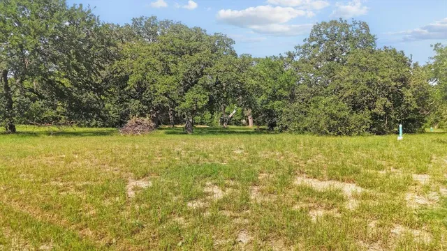 a view of outdoor space with yard and green space