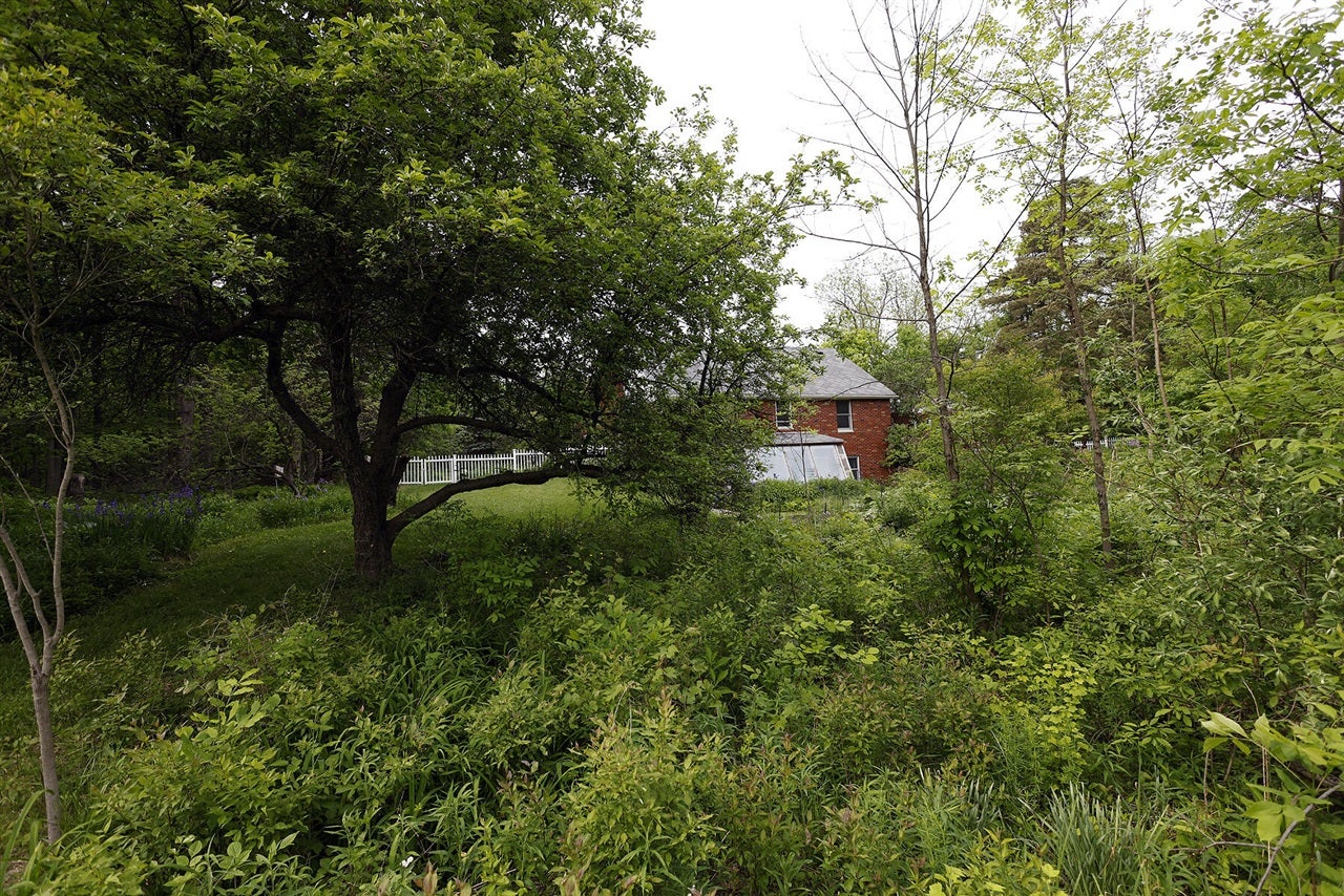5801 North Territorial Road Dexter, MI 48130 - Photo 45 of 61 Gallery Image 45