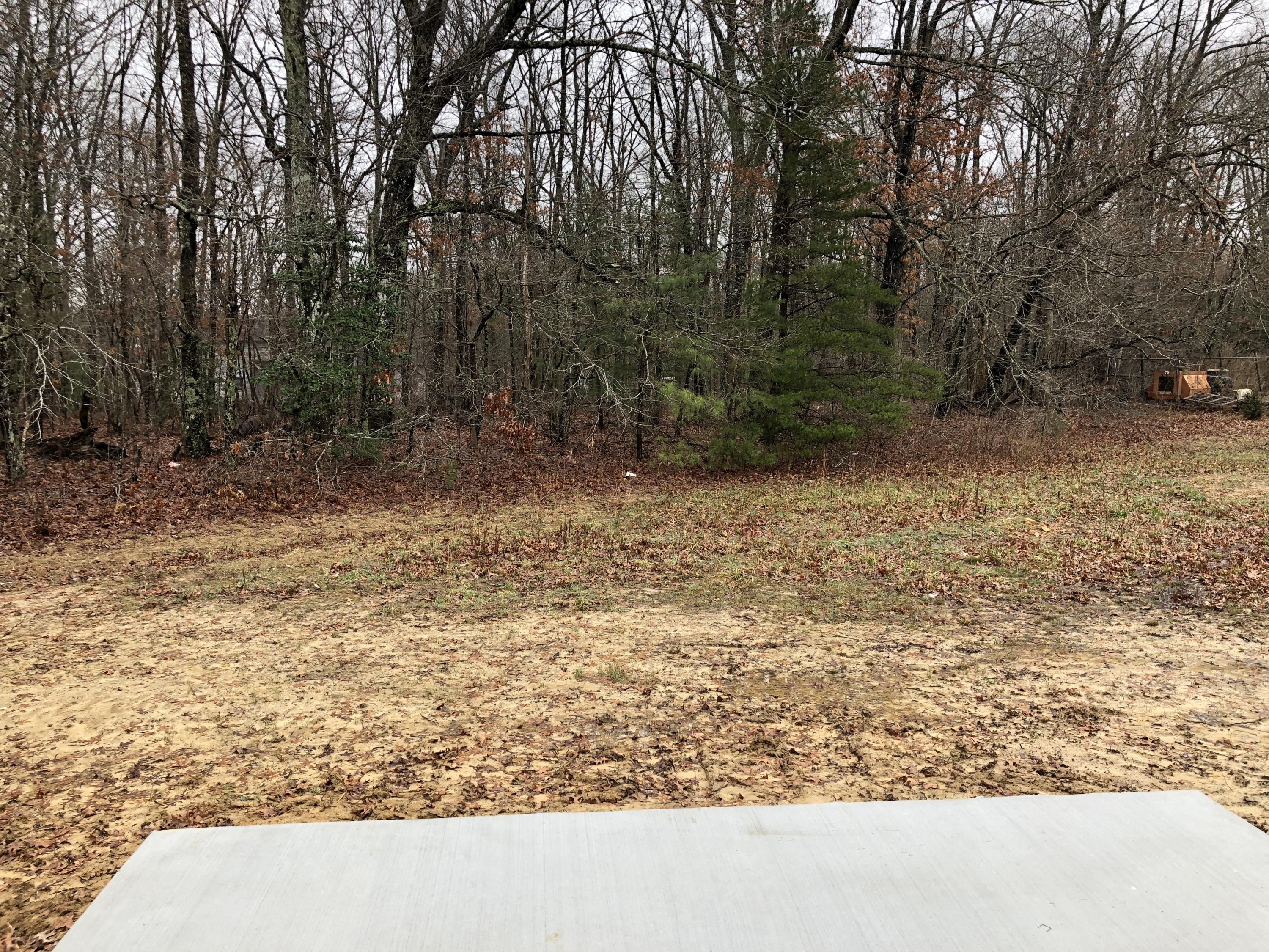 68 Panther Valley Road Crossville, TN 38555 - Photo 11 of 11 Back Yard