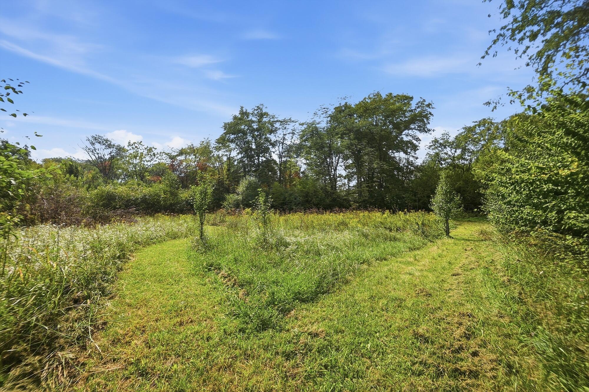 15578 Smart-Cole Road Ostrander, OH 43061 - Photo 67 of 76 077