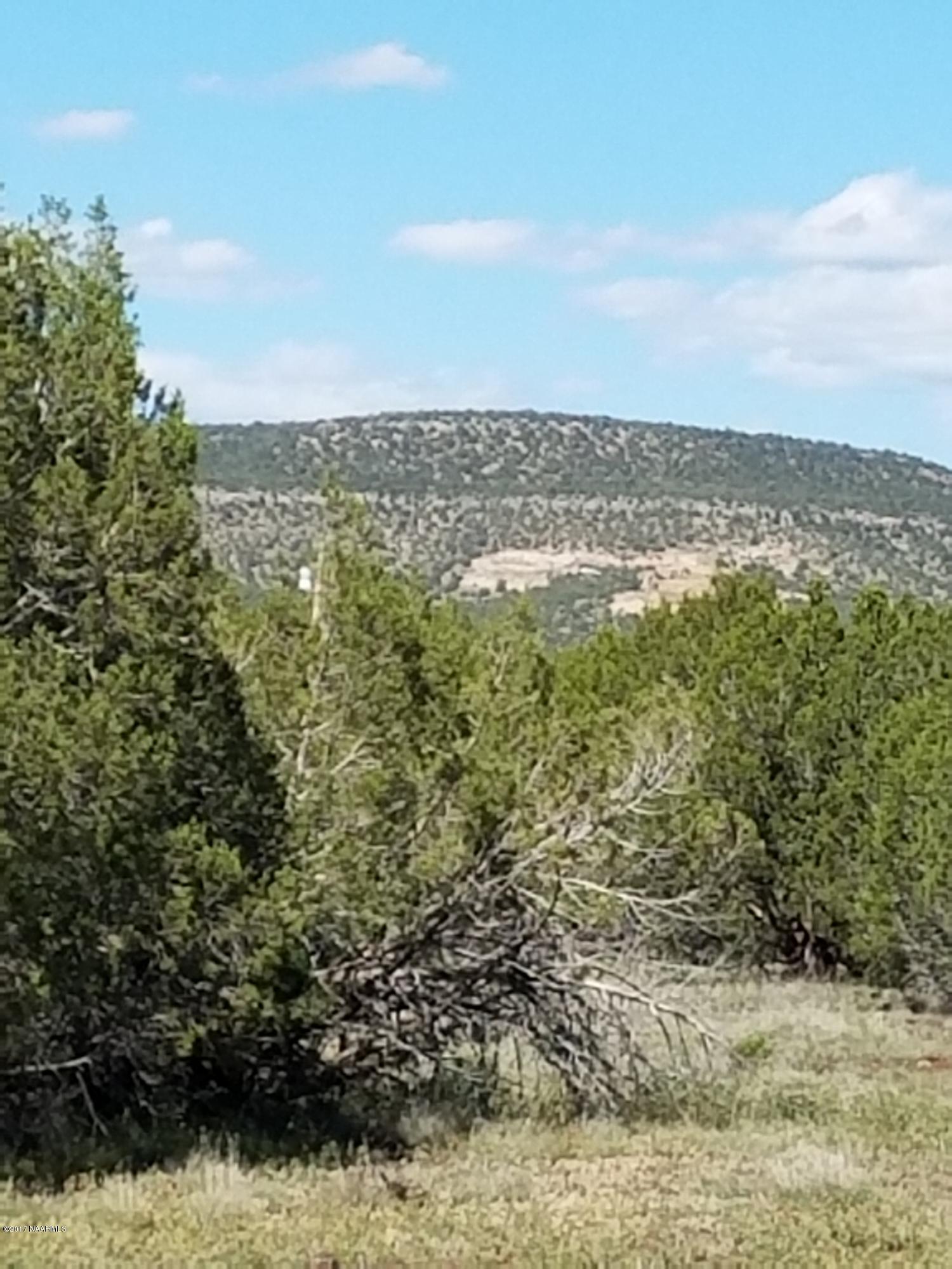 4042 Hillside Road Williams, AZ 86046 - Photo 15 of 15 20170519_152900