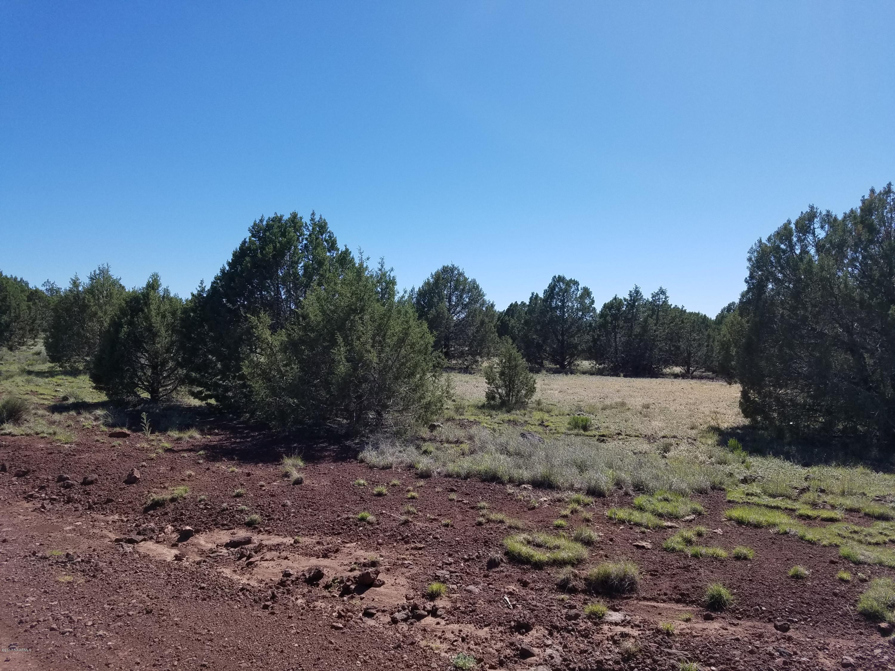 4042 Hillside Road Williams, AZ 86046 - Photo 3 of 15 20170519_151809