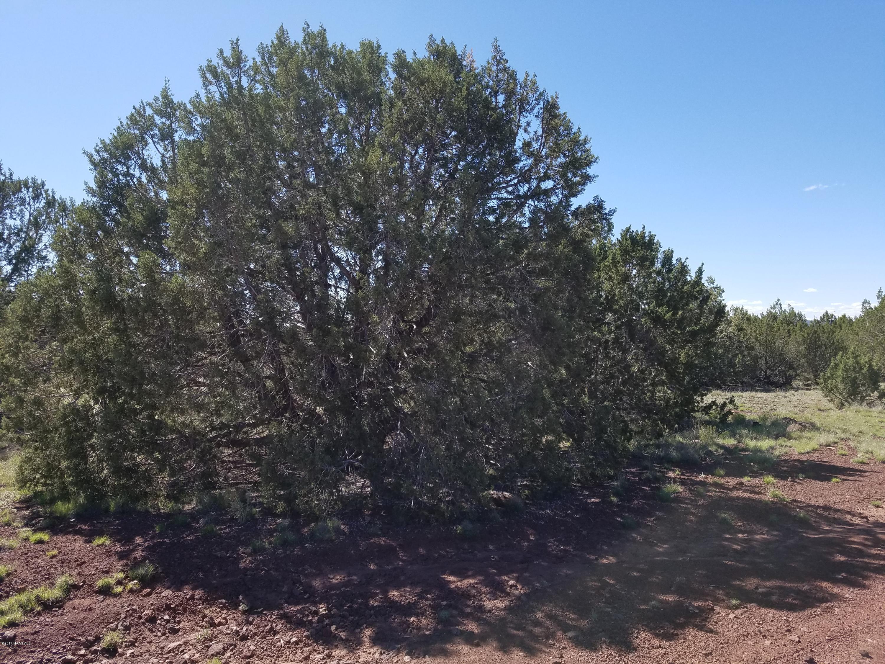 4042 Hillside Road Williams, AZ 86046 - Photo 4 of 15 20170519_151813