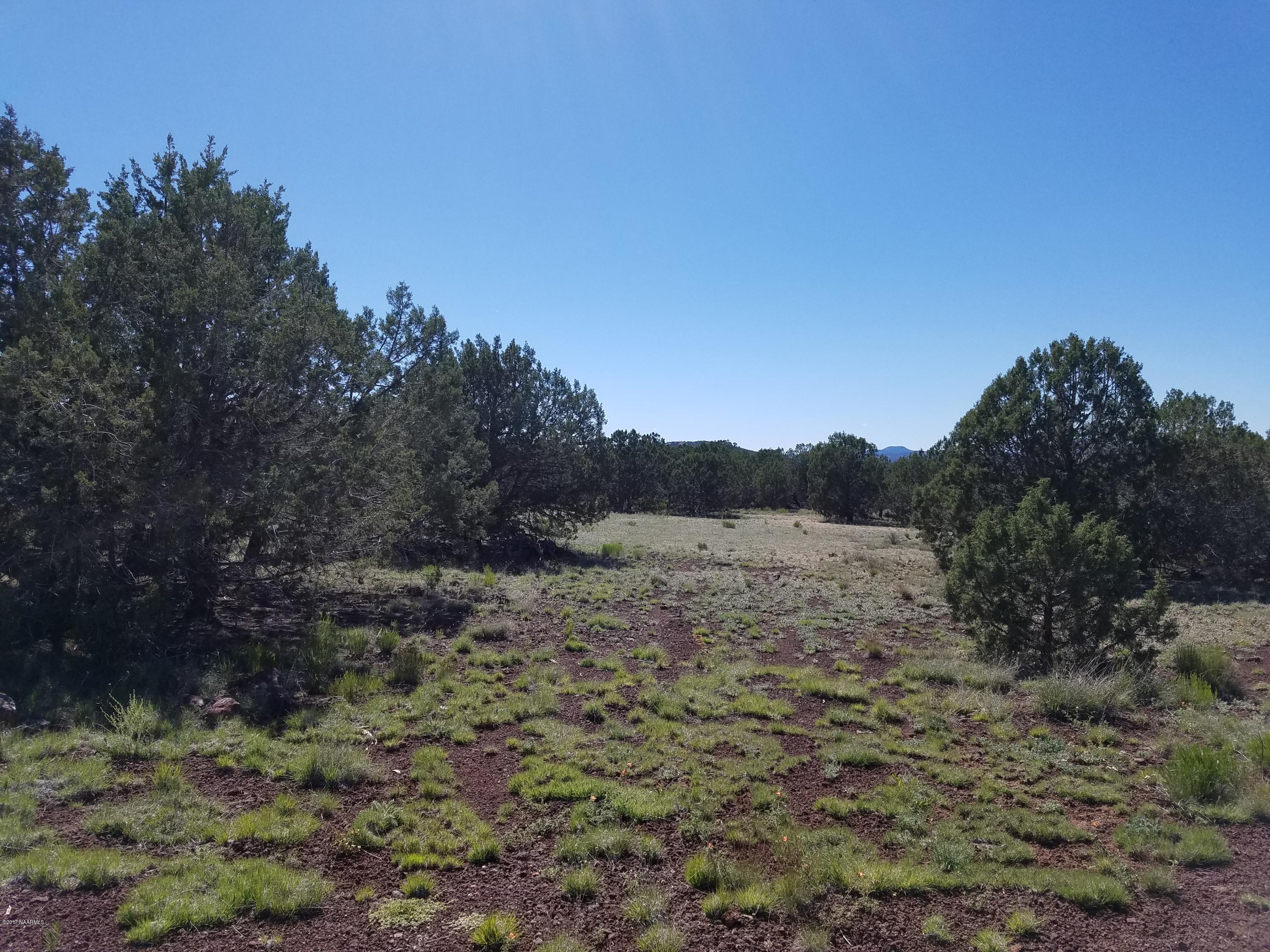 4042 Hillside Road Williams, AZ 86046 - Photo 5 of 15 20170519_151828