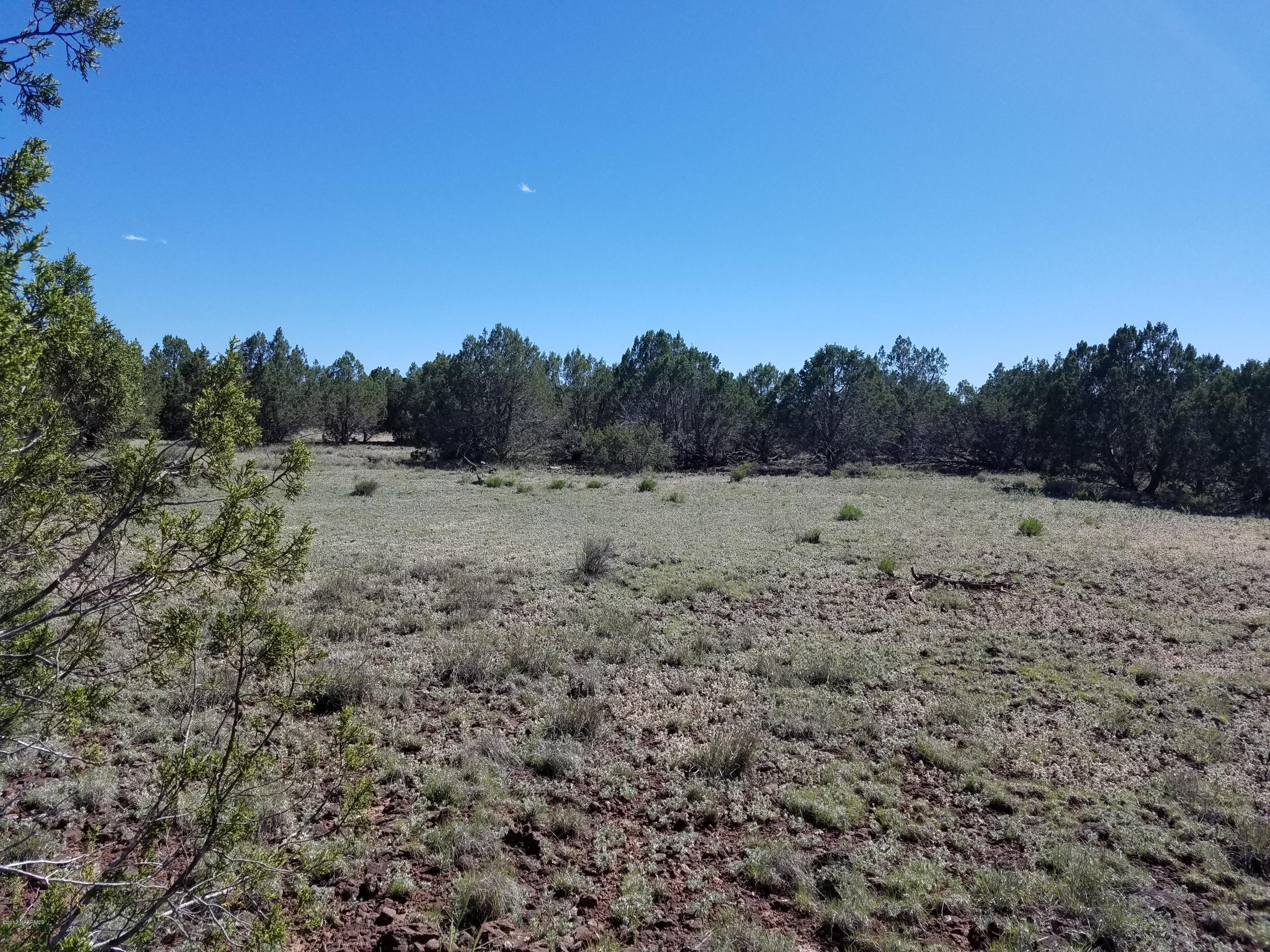 4042 Hillside Road Williams, AZ 86046 - Photo 7 of 15 20170519_151931