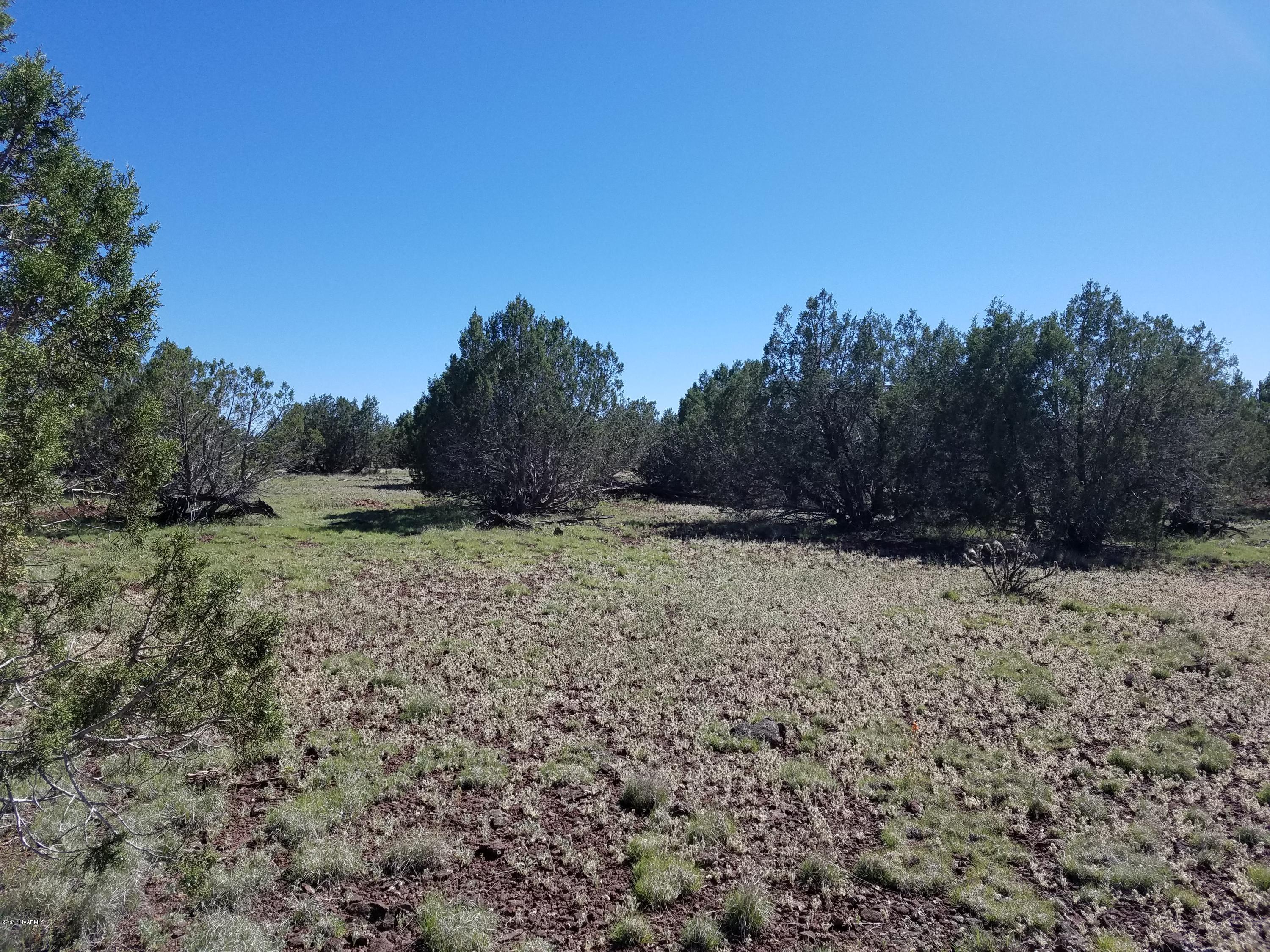 4042 Hillside Road Williams, AZ 86046 - Photo 8 of 15 20170519_152156