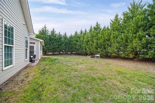 a view of a yard with potted plants and a large tree