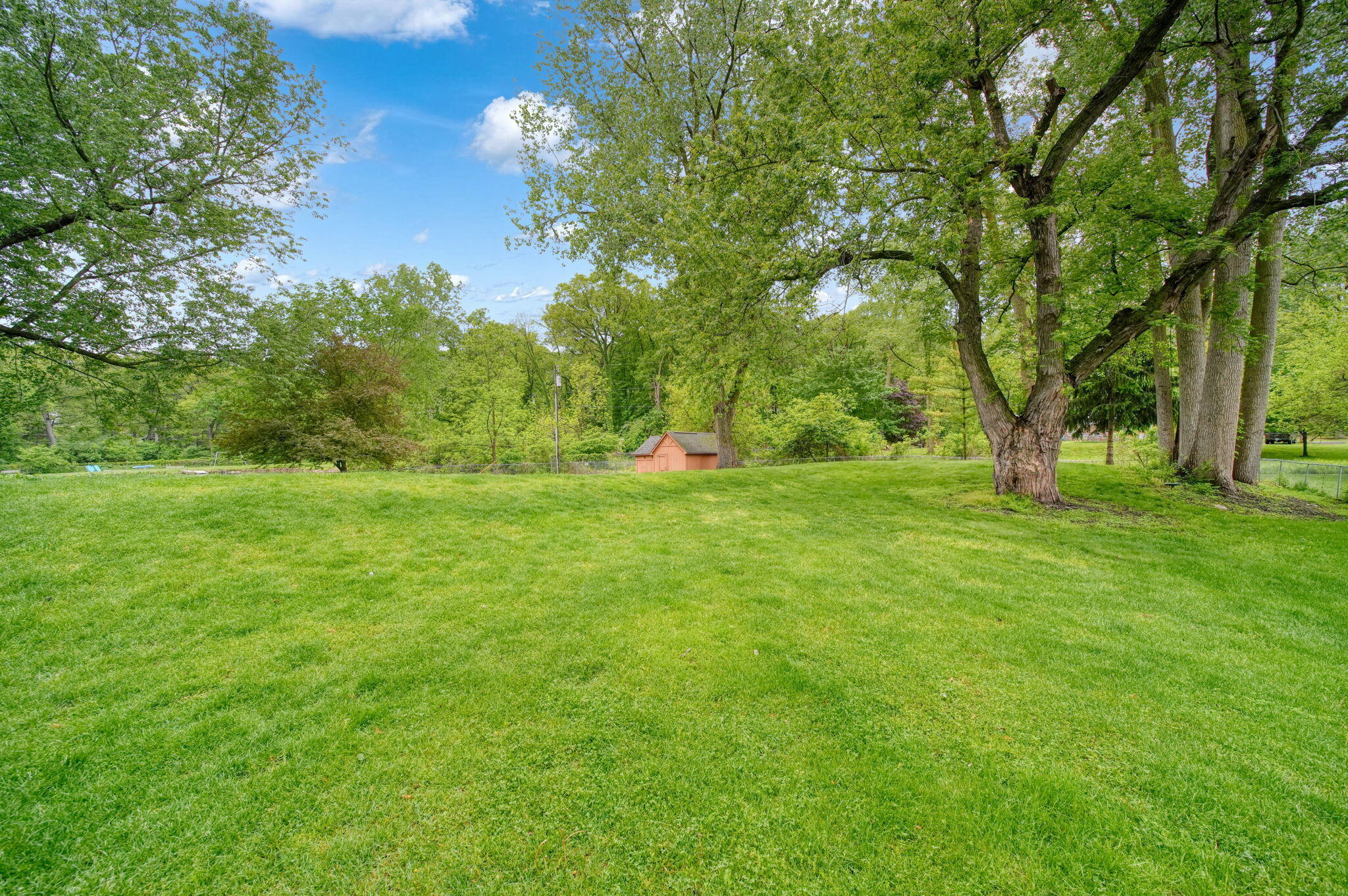 8866 Crane Road Milan, MI 48160 - Photo 58 of 77 57-web-or-mls-DSC09210_HDR