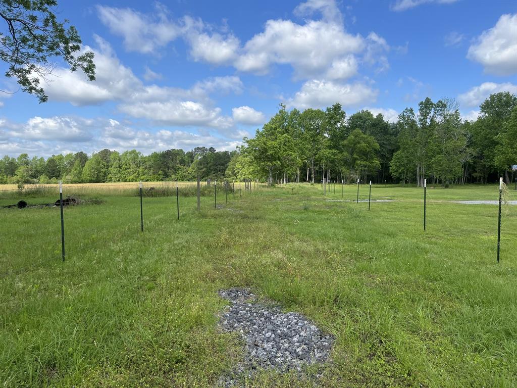 770 South Fm Batson Tx 7519