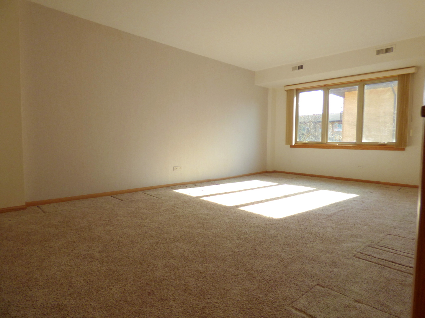 2500 West Talcott Road, Unit 207 Park Ridge, IL 60068 - Photo 9 of 23 Gallery Image 9