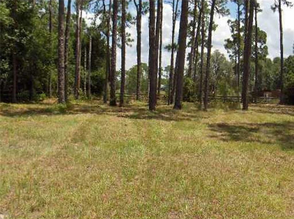 0 Crescent Road Odessa, FL 33556 - Photo 1 of 1 Gallery Image 1