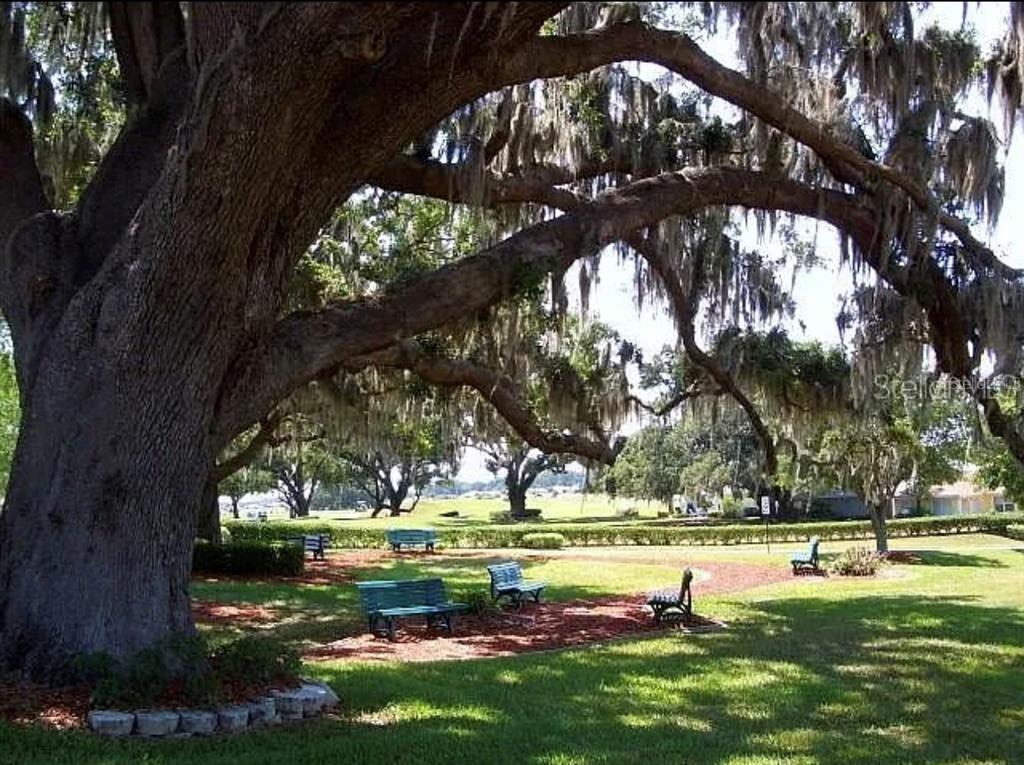 10990 South East 170TH Street Road Summerfield, FL 34491 - Photo 14 of 15