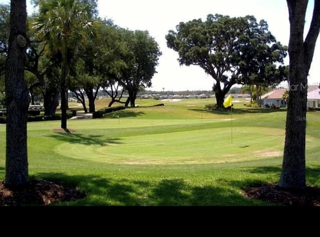 10990 South East 170TH Street Road Summerfield, FL 34491 - Photo 15 of 15