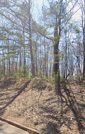 a view of empty space with trees