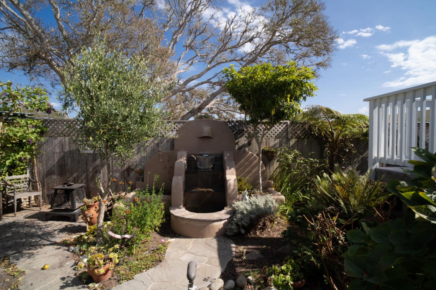 928 Hellam Street Monterey, CA 93940 - Photo 14 of 25 a view of a backyard with plants