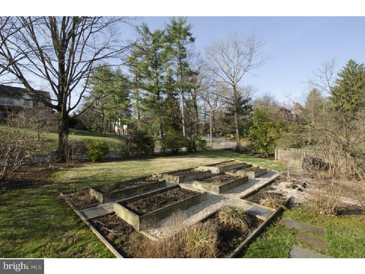 549 Heath Road Merion Station, PA 19066 - Photo 5 of 23 Garden