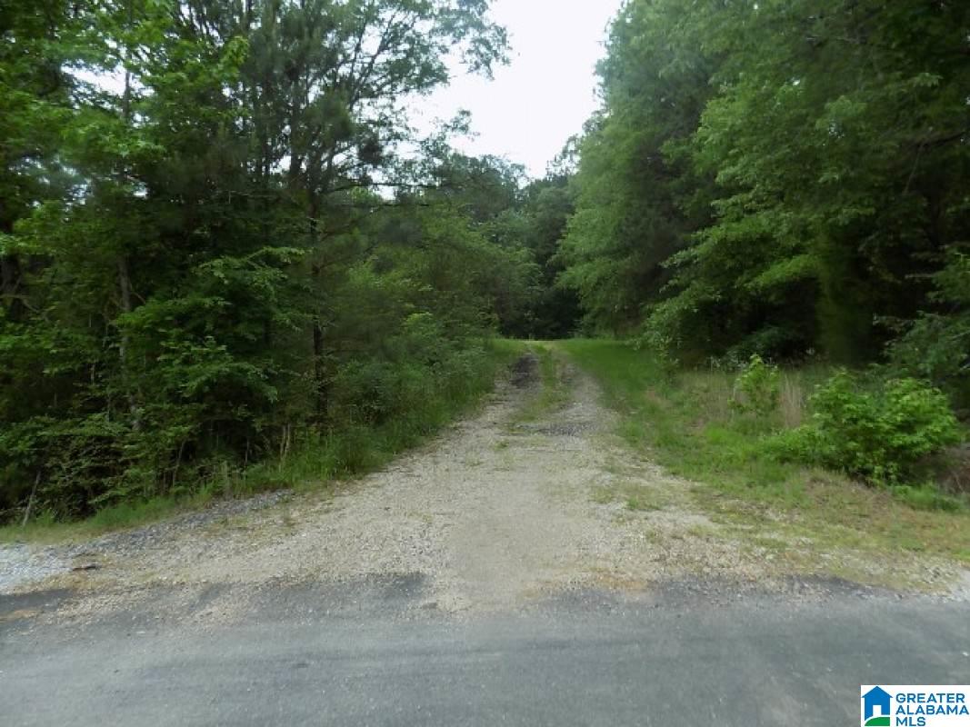 5 Big Oak Road Ohatchee, AL 36271 - Photo 2 of 4
