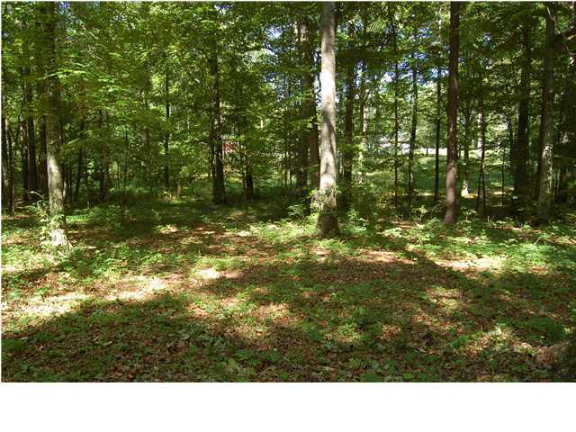 797 Indian Springs Road Ringgold, GA 30736 - Photo 14 of 15 Additional Photo