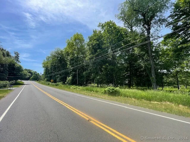 a view of a road with a yard and a large trees