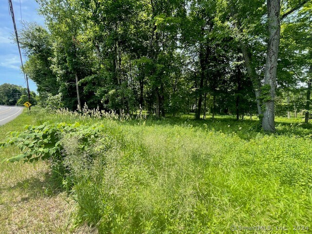 369 Turnpike Road Somers, CT 06071 - Photo 3 of 5 a garden view