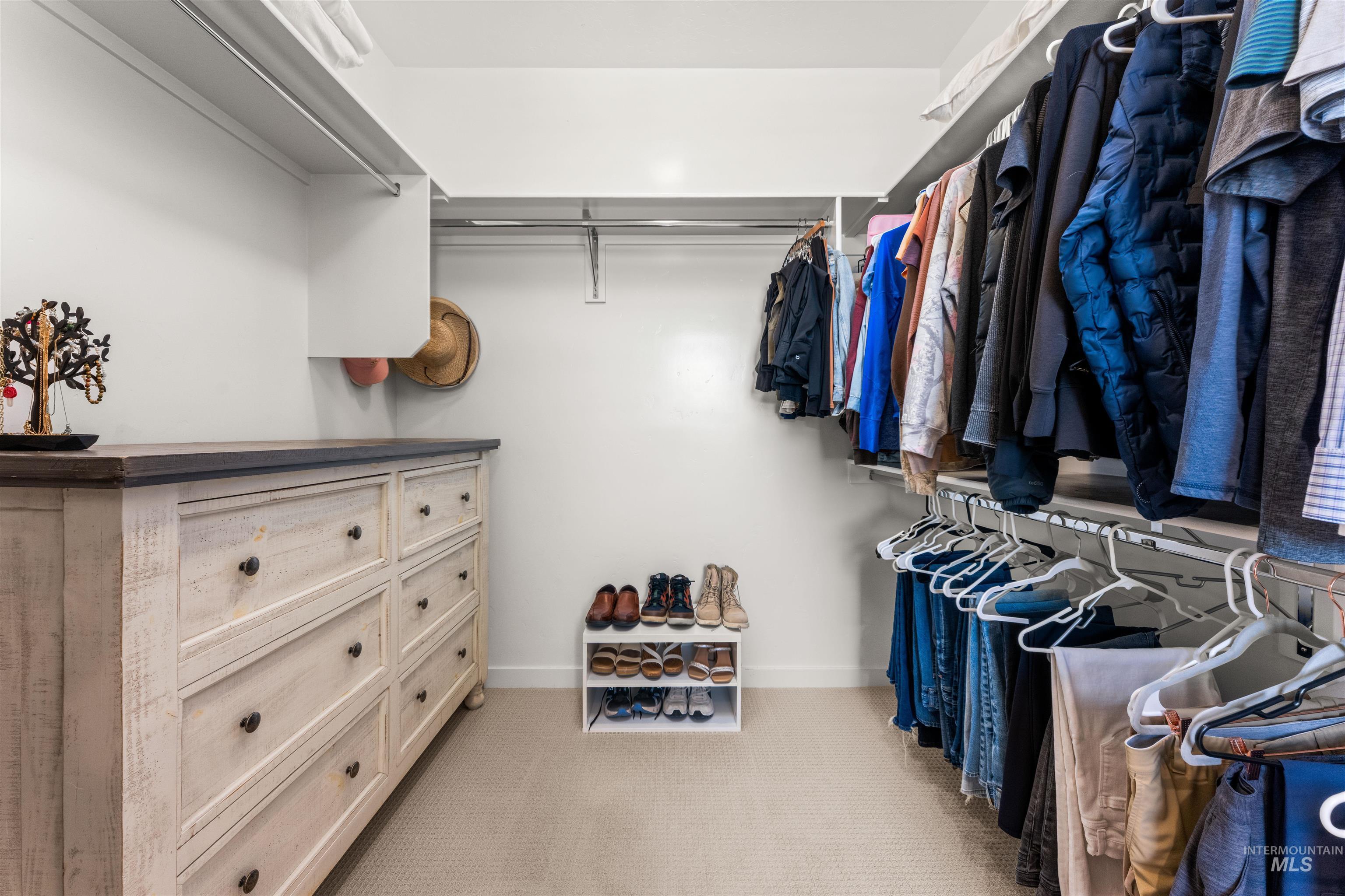 2040 West Gelding Street Middleton, ID 83644 - Photo 21 of 22 Walk in closet featuring light carpet
