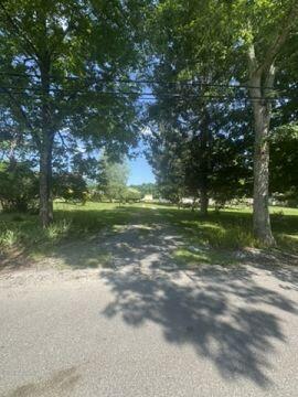 905 Back Draft Road Green Bank, WV 24944 - Photo 10 of 102 Gallery Image 10