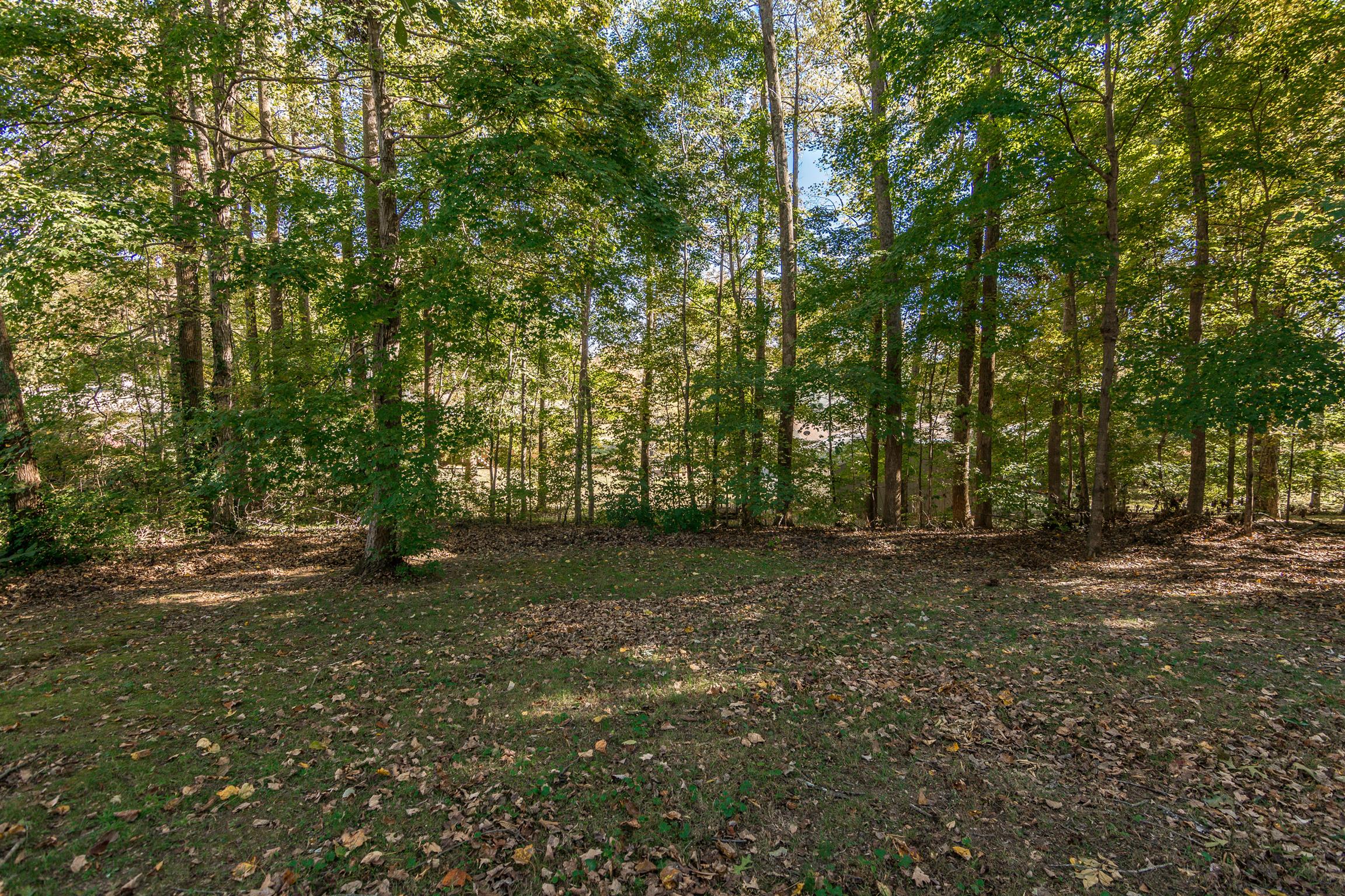 202 Bell Lane Springfield, TN 37172 - Photo 22 of 23 a view of a tree with a yard