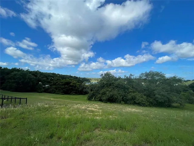 a view of a green yard