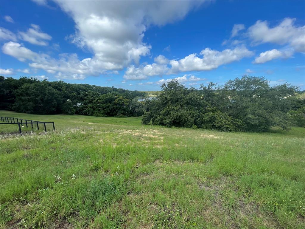 1110 Country Club Road Eustis, FL 32726 - Photo 19 of 38 a view of a garden