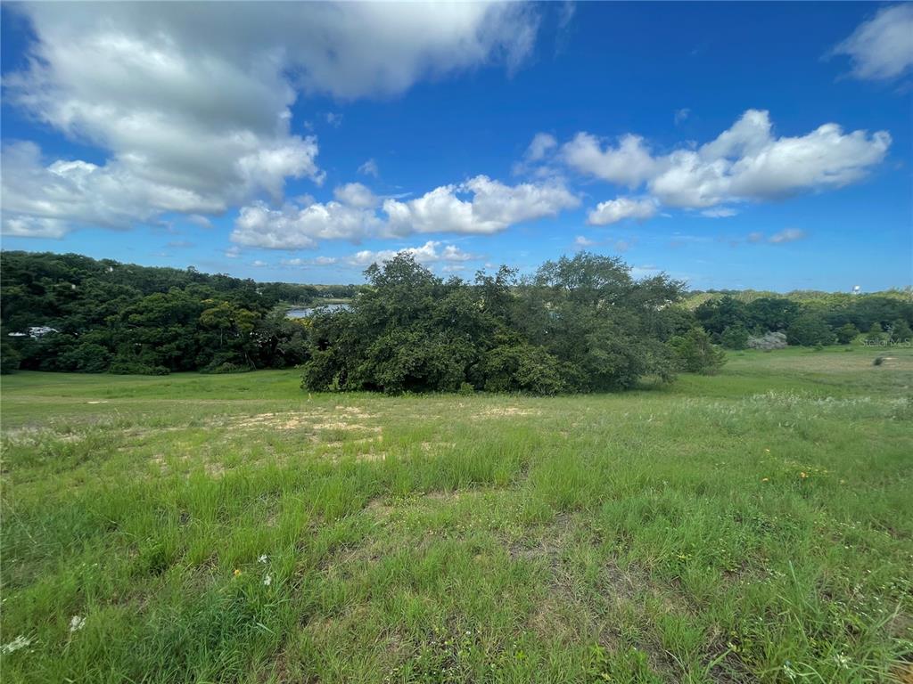 1110 Country Club Road Eustis, FL 32726 - Photo 22 of 38 a view of a big yard with potted plants and large tree