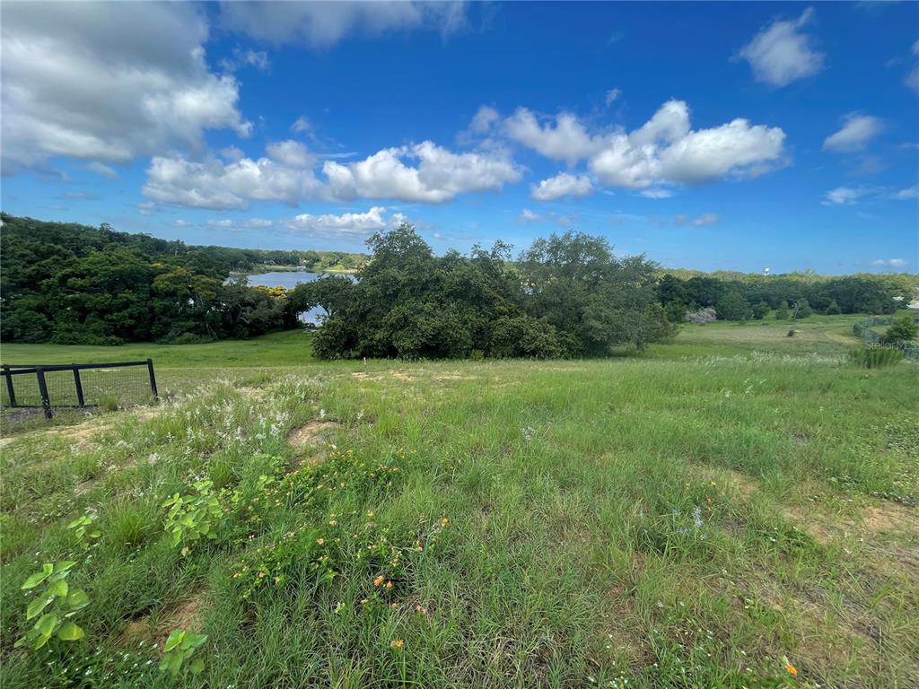 1110 Country Club Road Eustis, FL 32726 - Photo 23 of 38 a view of a grassy field with an trees
