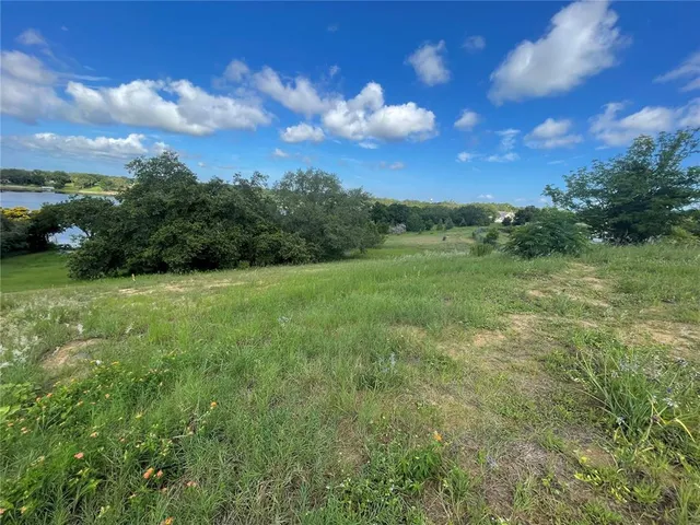 a view of a grassy field with an trees