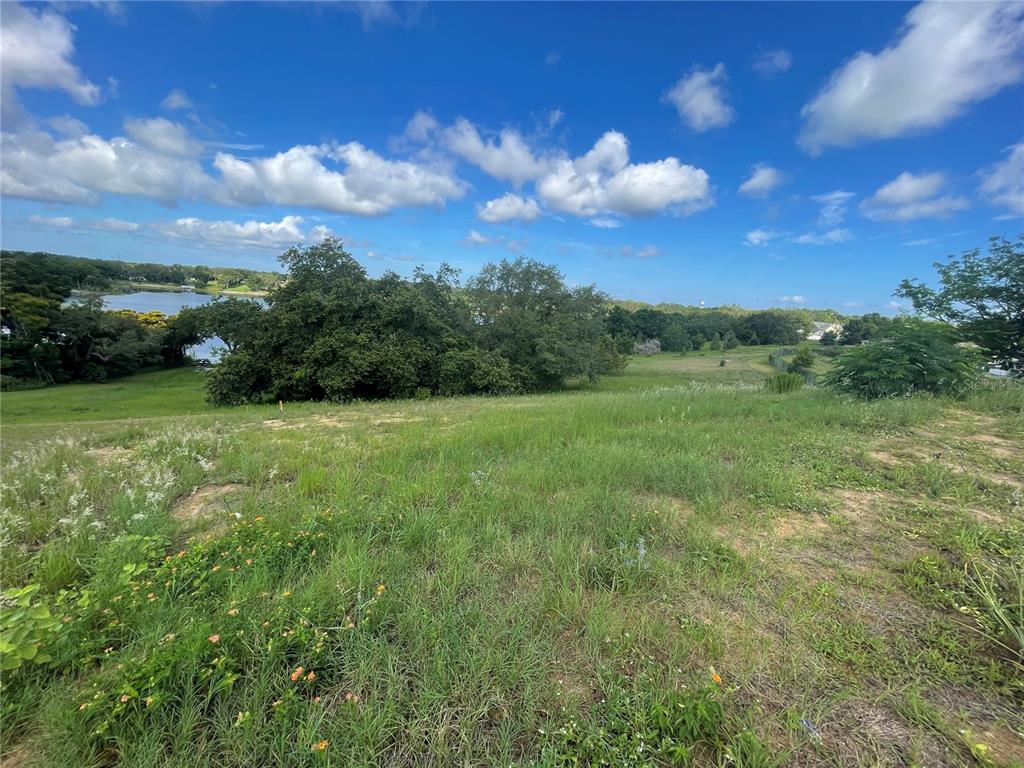 1110 Country Club Road Eustis, FL 32726 - Photo 25 of 38 a view of a grassy field with an trees