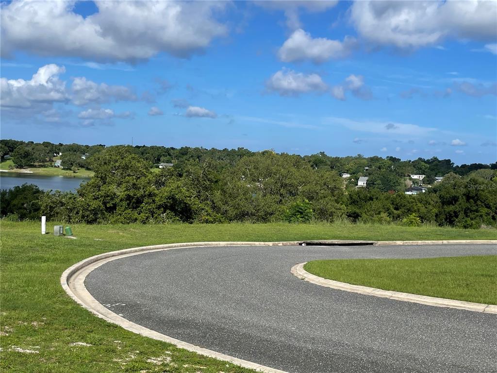 1110 Country Club Road Eustis, FL 32726 - Photo 29 of 38 a view of a green field with clear sky