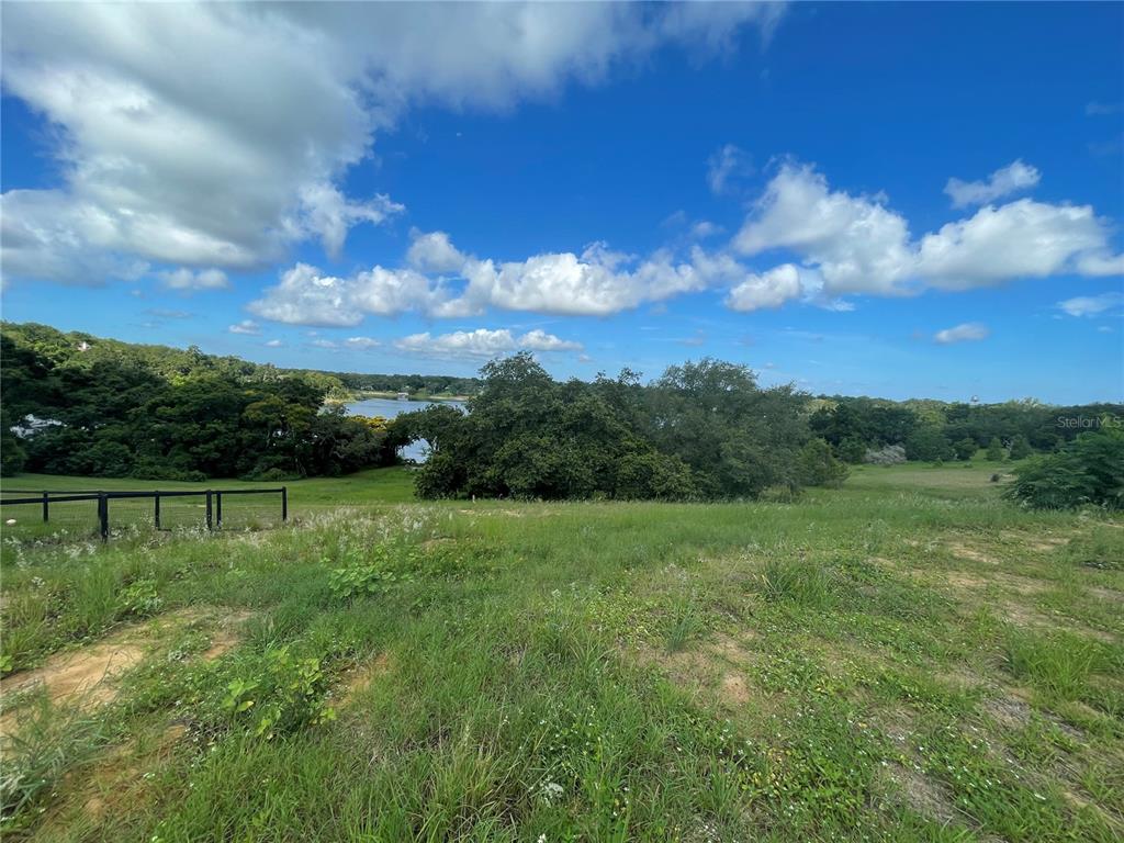 1110 Country Club Road Eustis, FL 32726 - Photo 4 of 38 a view of an outdoor space and a yard