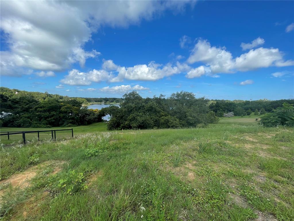 1110 Country Club Road Eustis, FL 32726 - Photo 5 of 38 a view of an outdoor space and a yard
