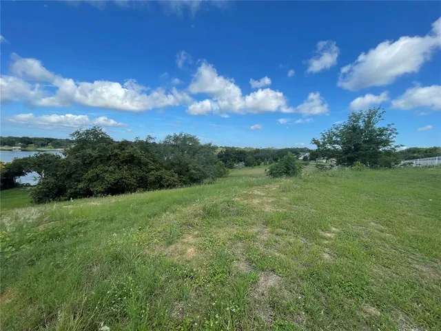 a view of a big yard with a large tree