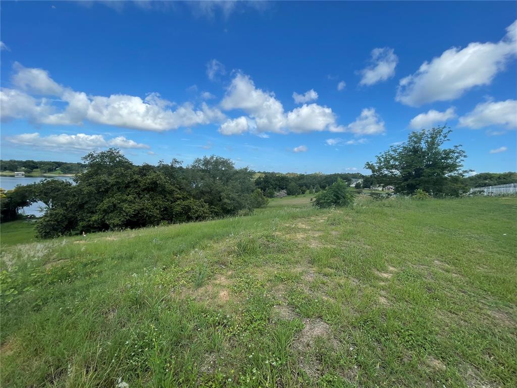 1110 Country Club Road Eustis, FL 32726 - Photo 6 of 38 a view of a big yard with a large tree