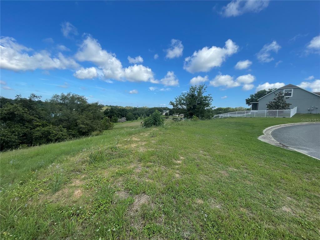 1110 Country Club Road Eustis, FL 32726 - Photo 7 of 38 a view of a grassy field with an trees