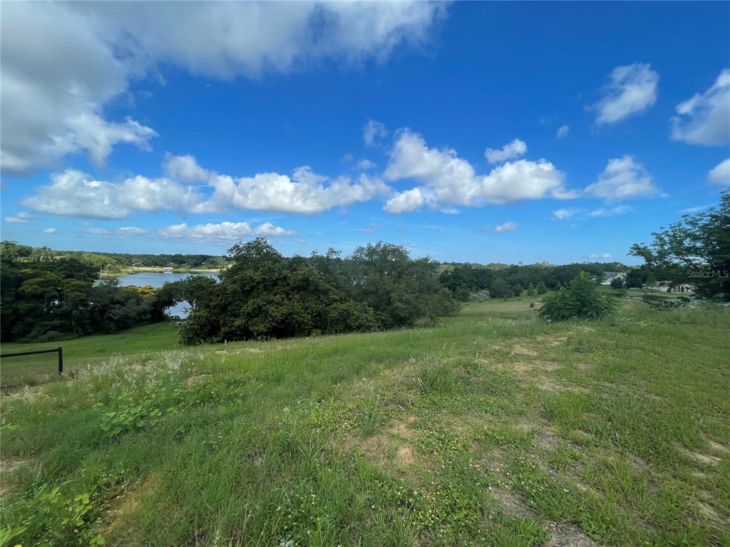 1110 Country Club Road Eustis, FL 32726 - Photo 10 of 38 a view of grassy field with mountain