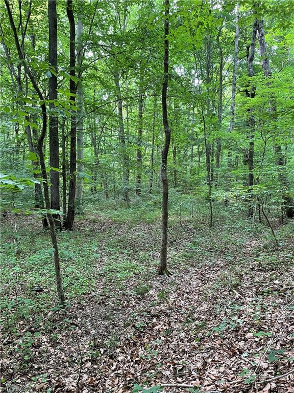 925 North Old Greensboro Road High Point, NC 27265 - Photo 6 of 21 Gallery Image 6