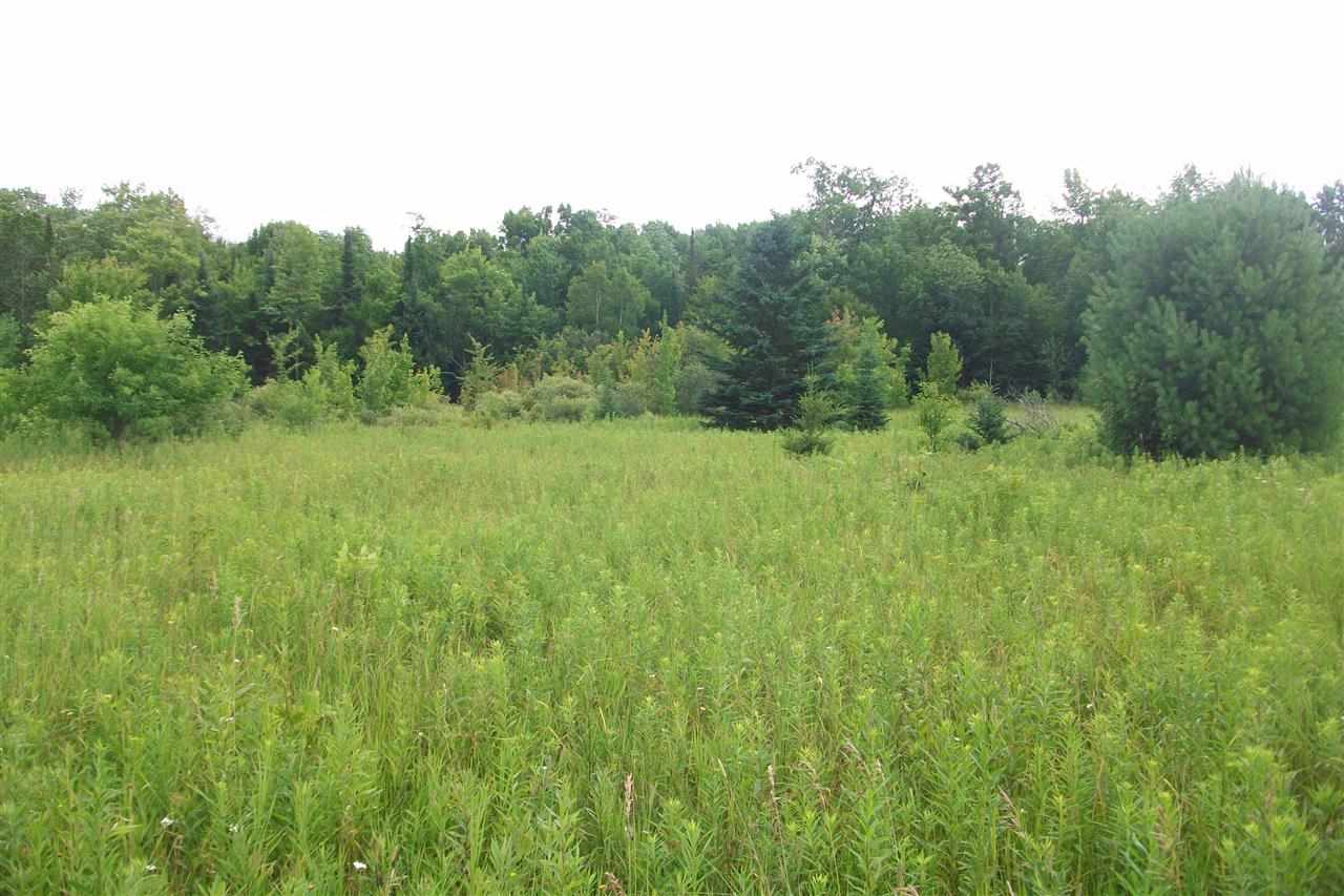 0 County Rd Y Aniwa, WI 54408 - Photo 1 of 1