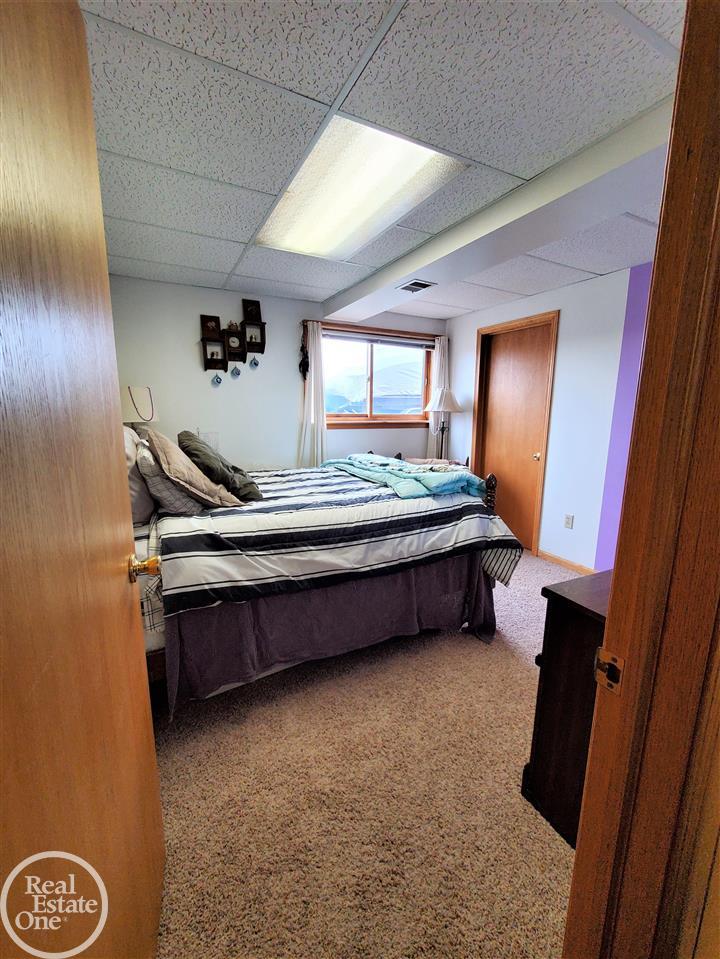 8195 Tubspring Road Almont, MI 48003 - Photo 51 of 95 50075786-51.JPG