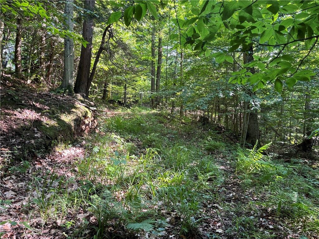 Center Road Lacona, NY 13083 - Photo 34 of 38