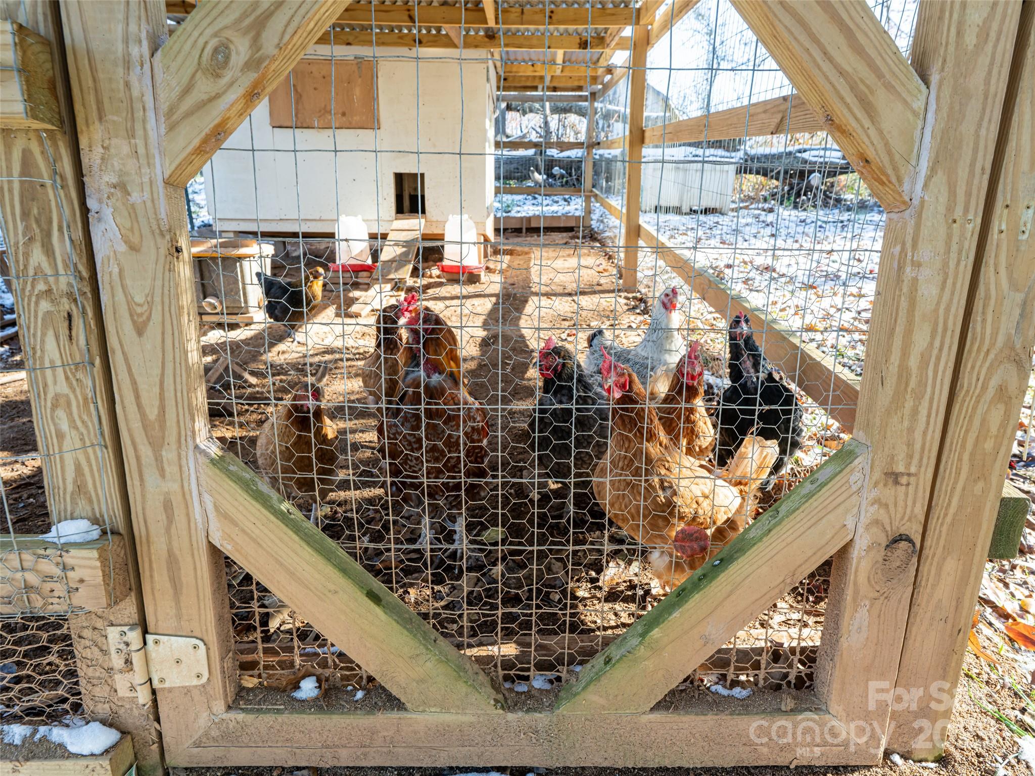 55 Morgan Road Weaverville, NC 28787 - Photo 29 of 48