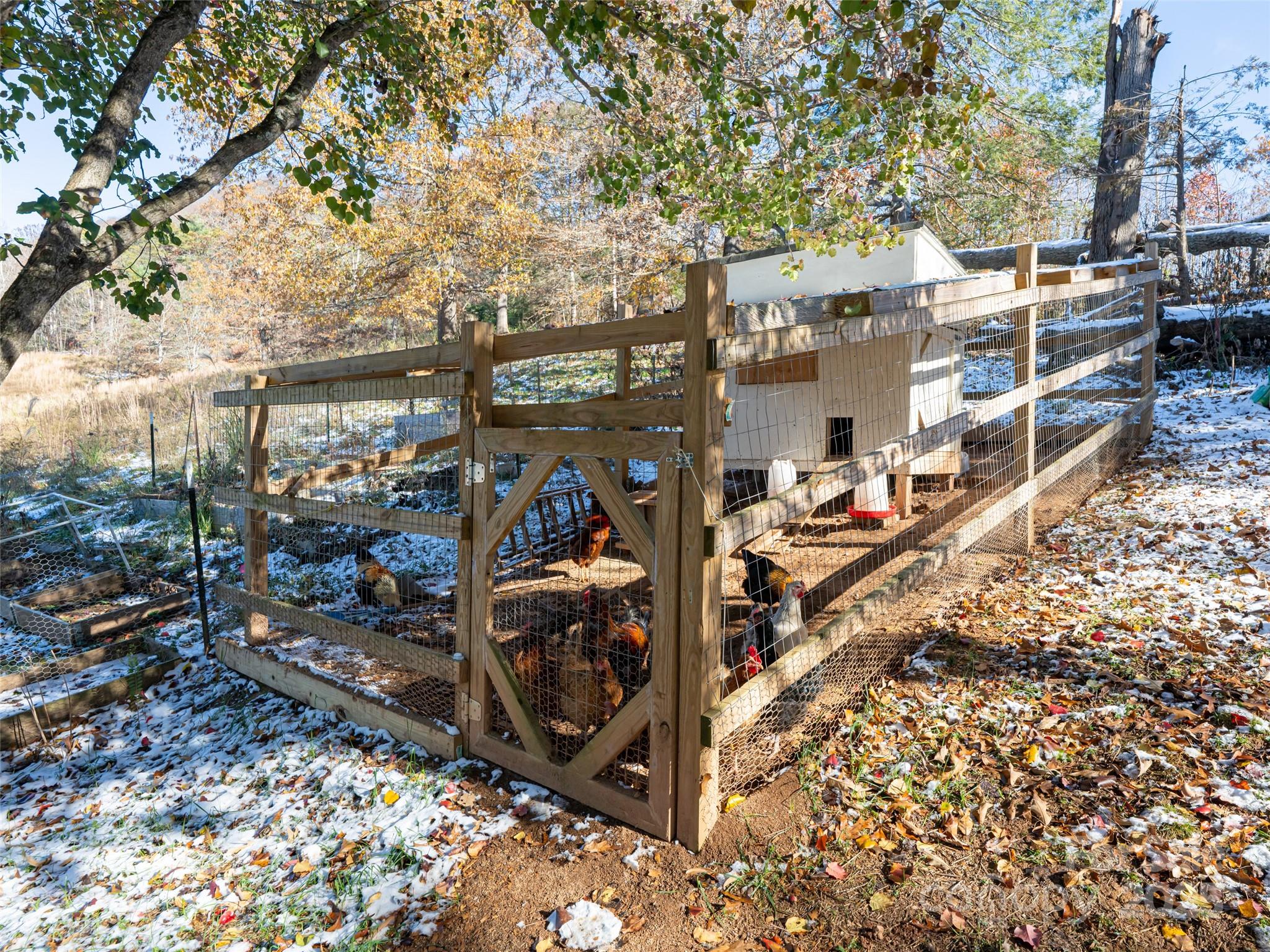 55 Morgan Road Weaverville, NC 28787 - Photo 30 of 48
