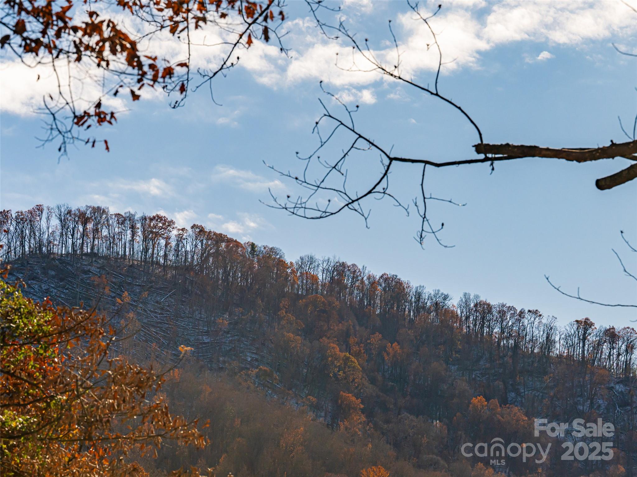 55 Morgan Road Weaverville, NC 28787 - Photo 32 of 48